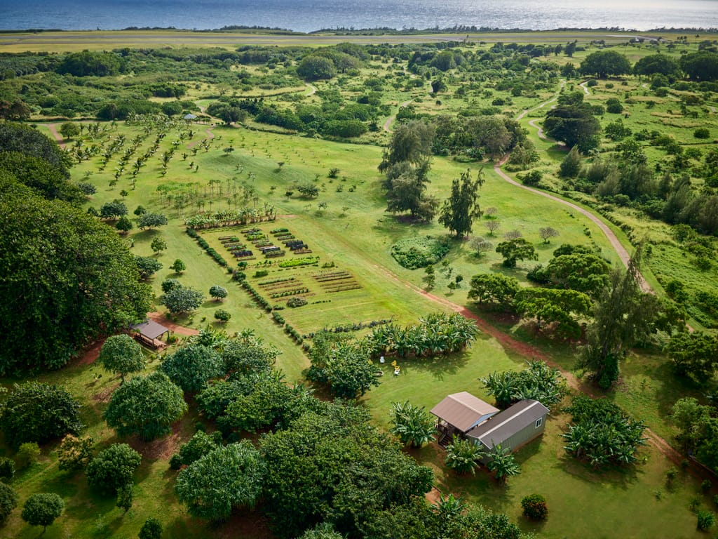 Aerial view of the Farm at Hokuala