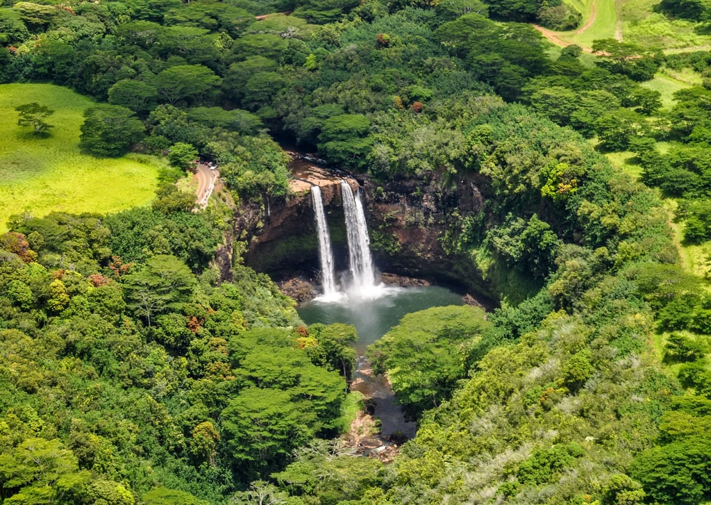 Wailua Falls Timbers Kauai