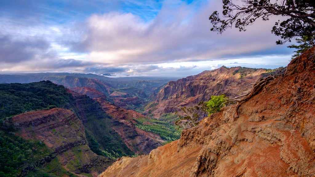 Landscape view of Waimea canyon at sunrise, Kauai, Hawaii, USA