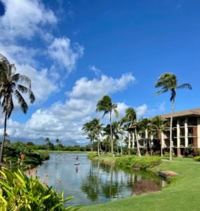 paddlers on the lagoon at Timbers Kaua'i