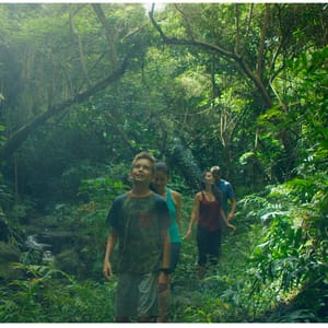 Family hiking through a rainforest and exploring on the island of Kauai Hawaii