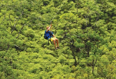 Timbers Kauai Zip Line