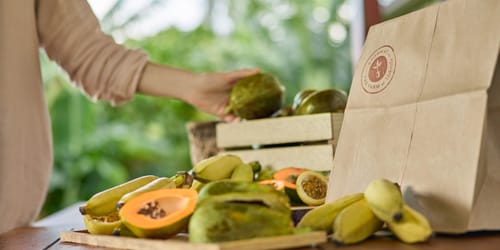 Woman picking up freshly picked produce from The Farm at Hokuala, an organic farm on Kauai Hawaii