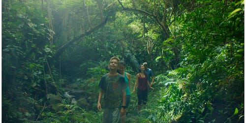 Family hiking through a rainforest and exploring on the island of Kauai Hawaii