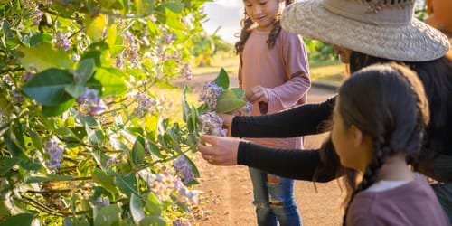 Family exploring The Farm at Hokuala and the butterfly trees