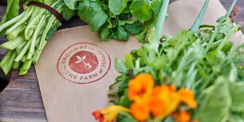 Fresh produce picked from The Farm at Hokuala and packaged into baskets for owners and guests at Timbers Kauai resort