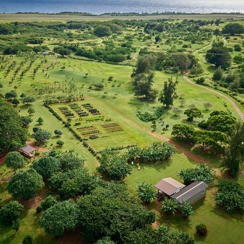 Aerial view of The Farm at Hokuala, an organic 16.5 acre farm within the Hokuala resort on Kauai