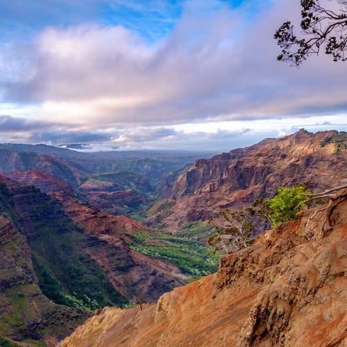 Landscape view of Waimea canyon at sunrise, Kauai, Hawaii, USA