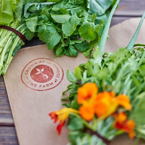 Fresh produce picked from The Farm at Hokuala and packaged into baskets for owners and guests at Timbers Kauai resort