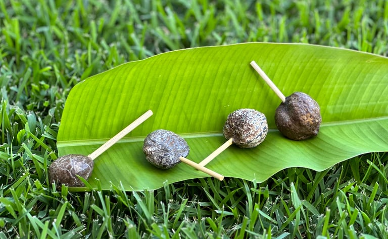 Kukui Nuts served on sticks as a snack on a banana leaf